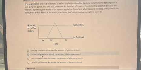 Solved The graph below shows the number of mRNA coples | Chegg.com