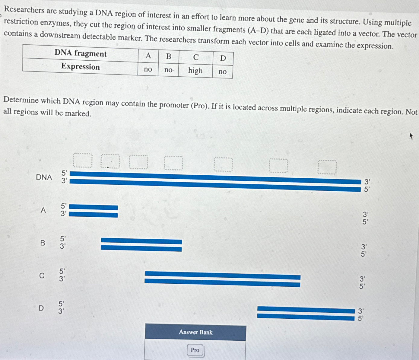 Solved Researchers are studying a DNA region of interest in | Chegg.com