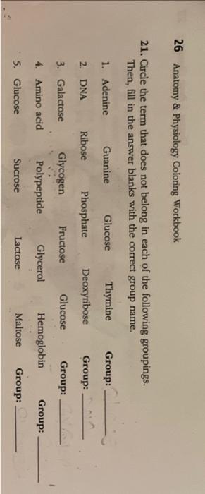 Solved 26 Anatomy \& Physiology Coloring Workbook 21. Circle | Chegg.com