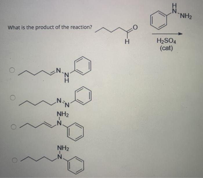 Which molecule will most easily undergo | Chegg.com