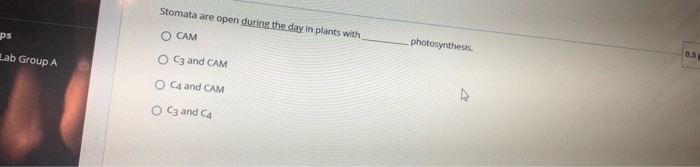 Solved Stomata are open during the day in plants with ps | Chegg.com
