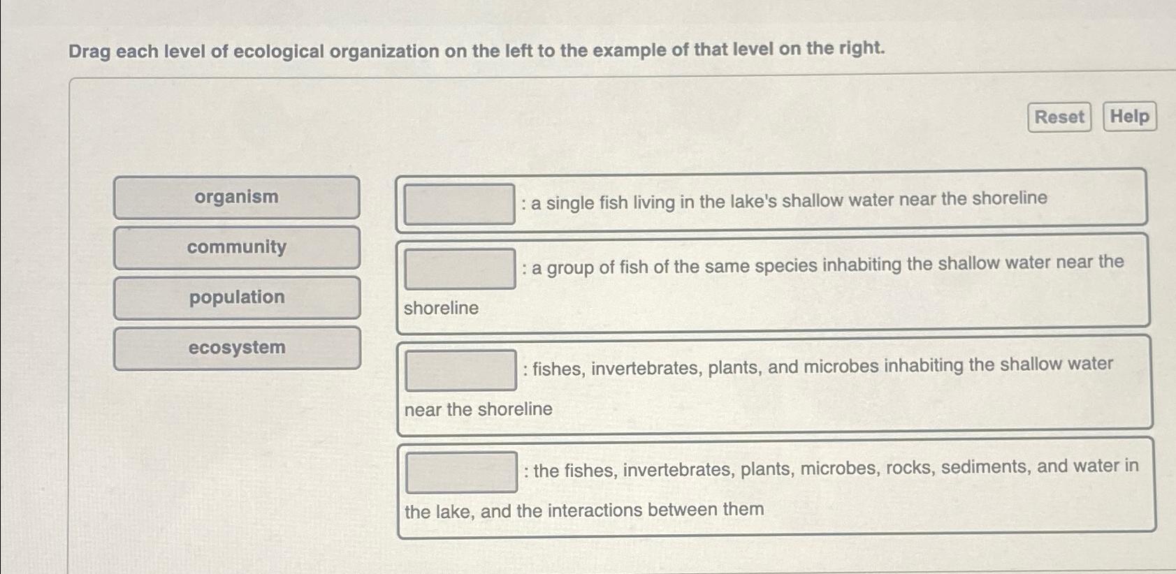 Solved Drag Each Level Of Ecological Organization On The | Chegg.com ...