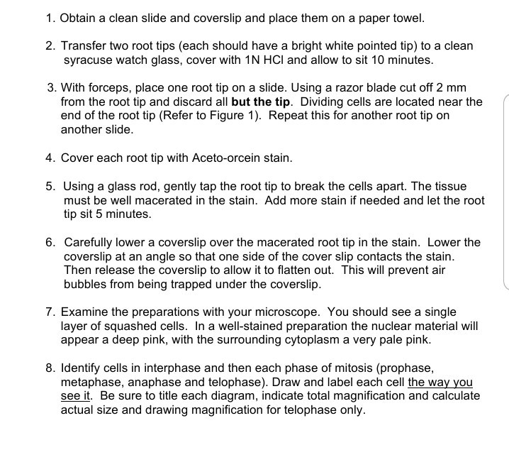 Solved 1. Obtain a clean slide and coverslip and place them