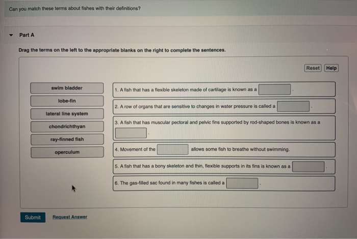 solved-part-a-drag-the-labels-to-the-table-to-indicate-which-chegg