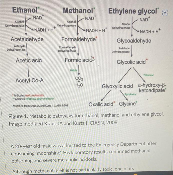 Ethanol
Alcohol
Dehydrogenase
NAD
NADH+H
Aldehyde
Dehydrogenase
Methanol
NAD
Alcohol
Dehydrogenase
NADH+H*
Formaldehyde
Forma