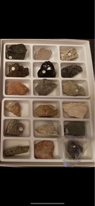 Solved dear experts I need the answers for all these | Chegg.com