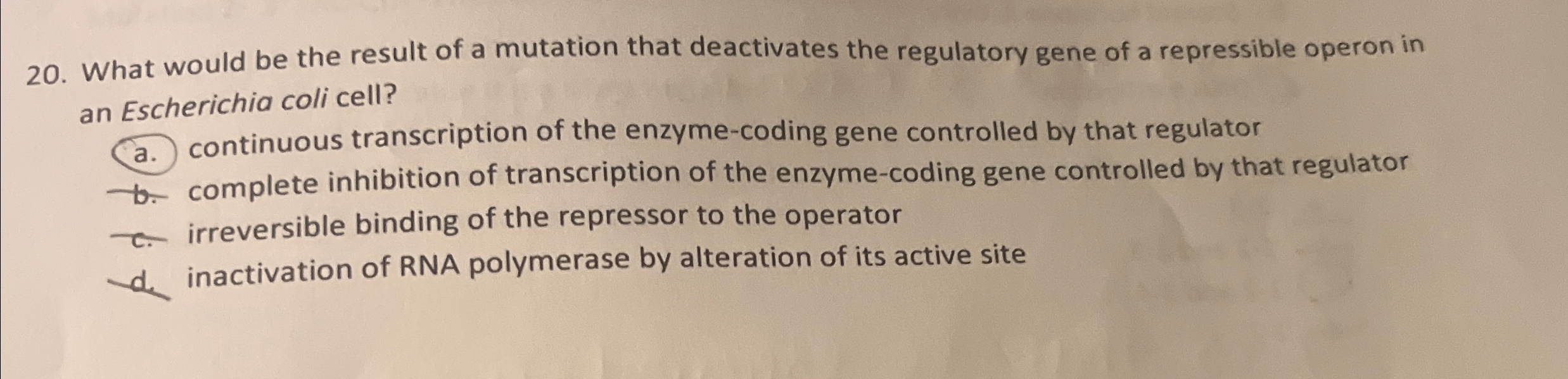 Solved What would be the result of a mutation that | Chegg.com