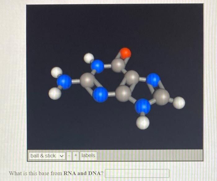 Solved Draw the base thymine from DNA. You do not have to