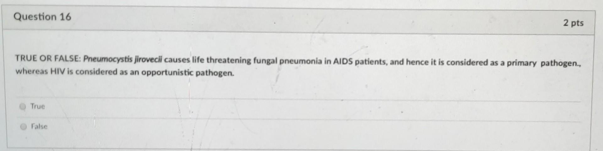Solved Question 16 2 Pts True Or False Pneumocystis Jiro Chegg Com