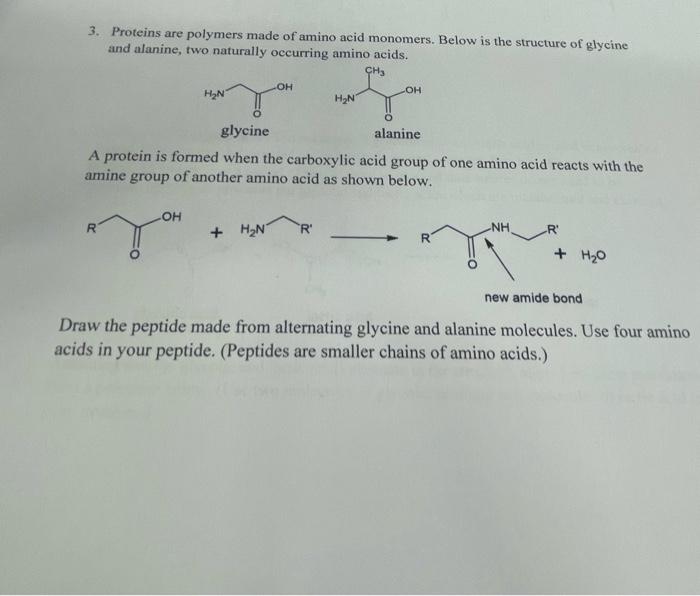 3. Proteins are polymers made of amino acid monomers.