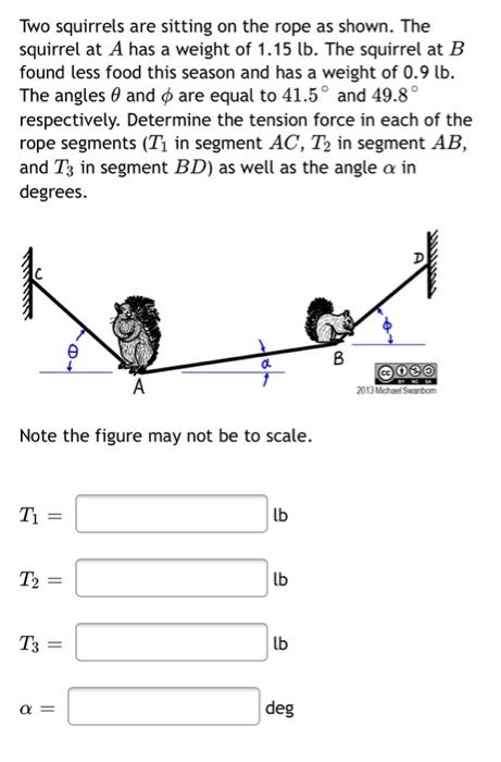 Solved Two Squirrels Are Sitting On The Rope As Shown. The | Chegg.com