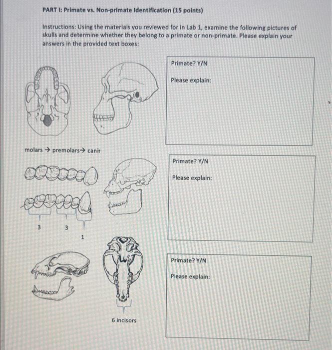 PART 1: Primate Vs. Non-primate Identification (15 | Chegg.com