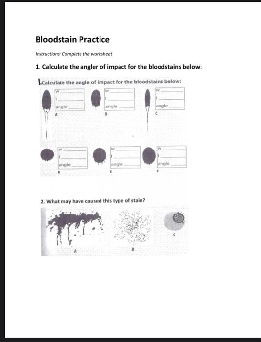 Solved Bloodstain Practice Instructions: Complete the | Chegg.com
