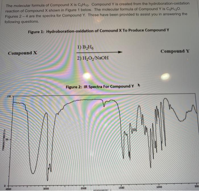 Solved The molecular formula of Compound X is CH10 Compound | Chegg.com
