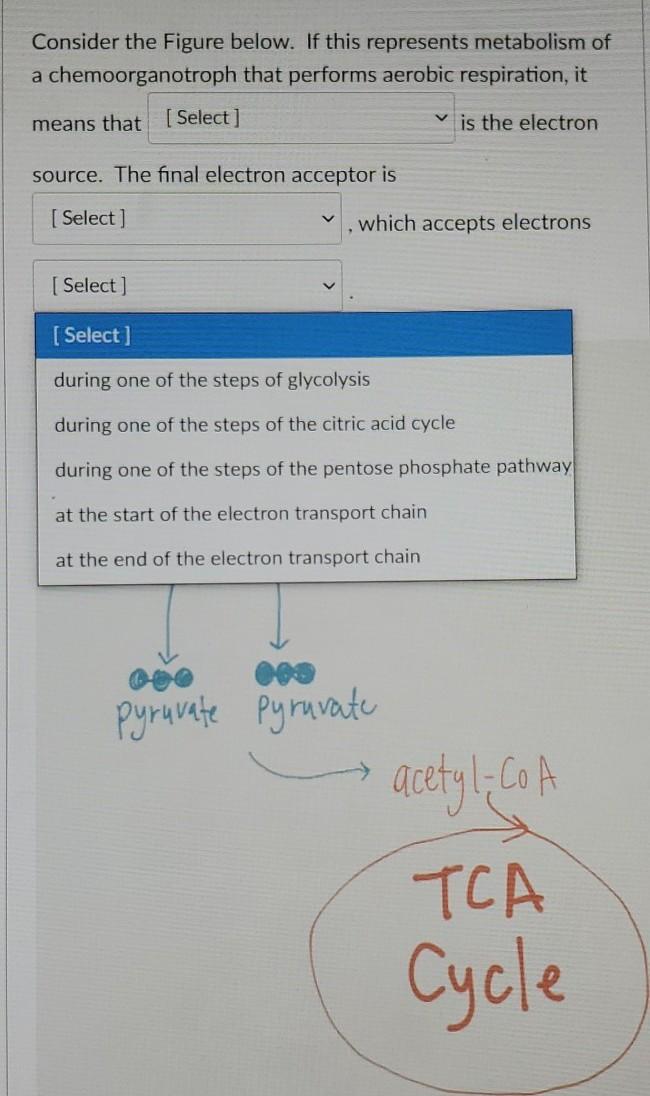 Solved Match the correct definition to each term below. | Chegg.com
