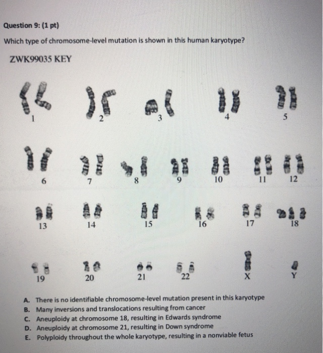 Solved Question 9: (1 pt) Which type of chromosome-level | Chegg.com
