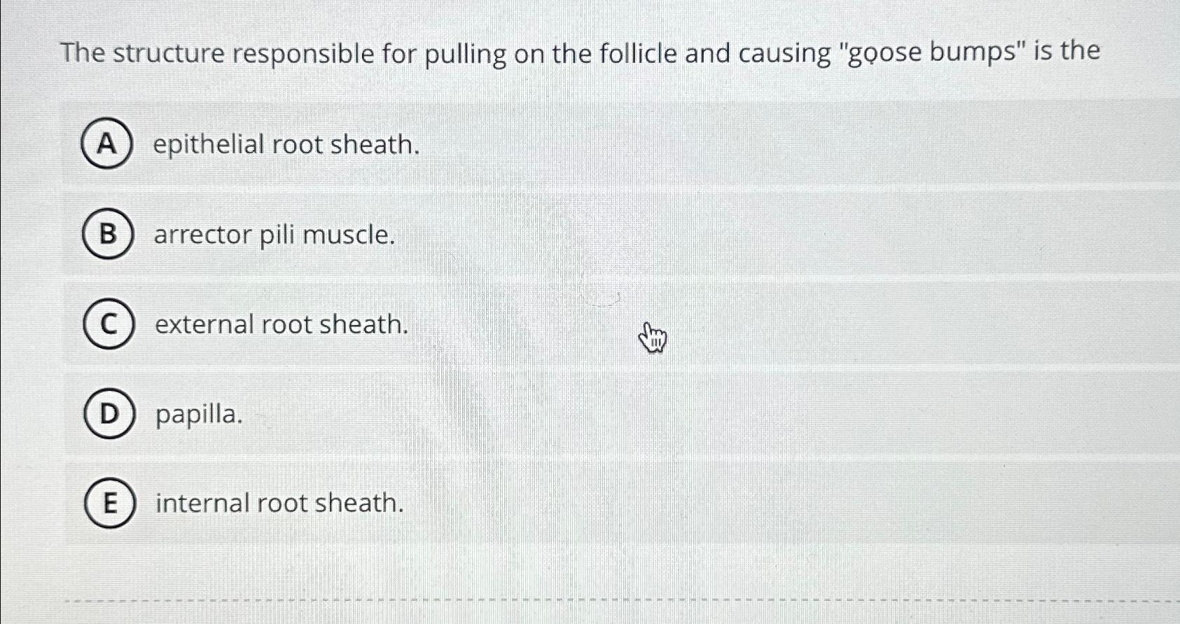 Solved The structure responsible for pulling on the follicle | Chegg.com