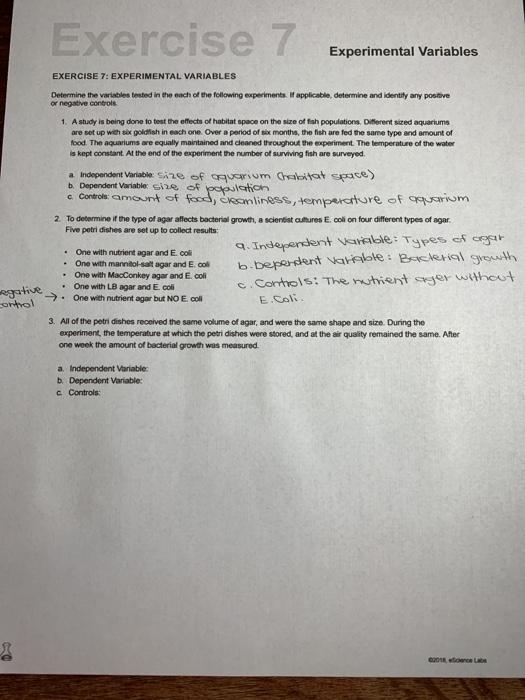 exercise 7 experimental variables