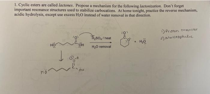 Solved 1 Cyclic Esters Are Called Lactones Propose A