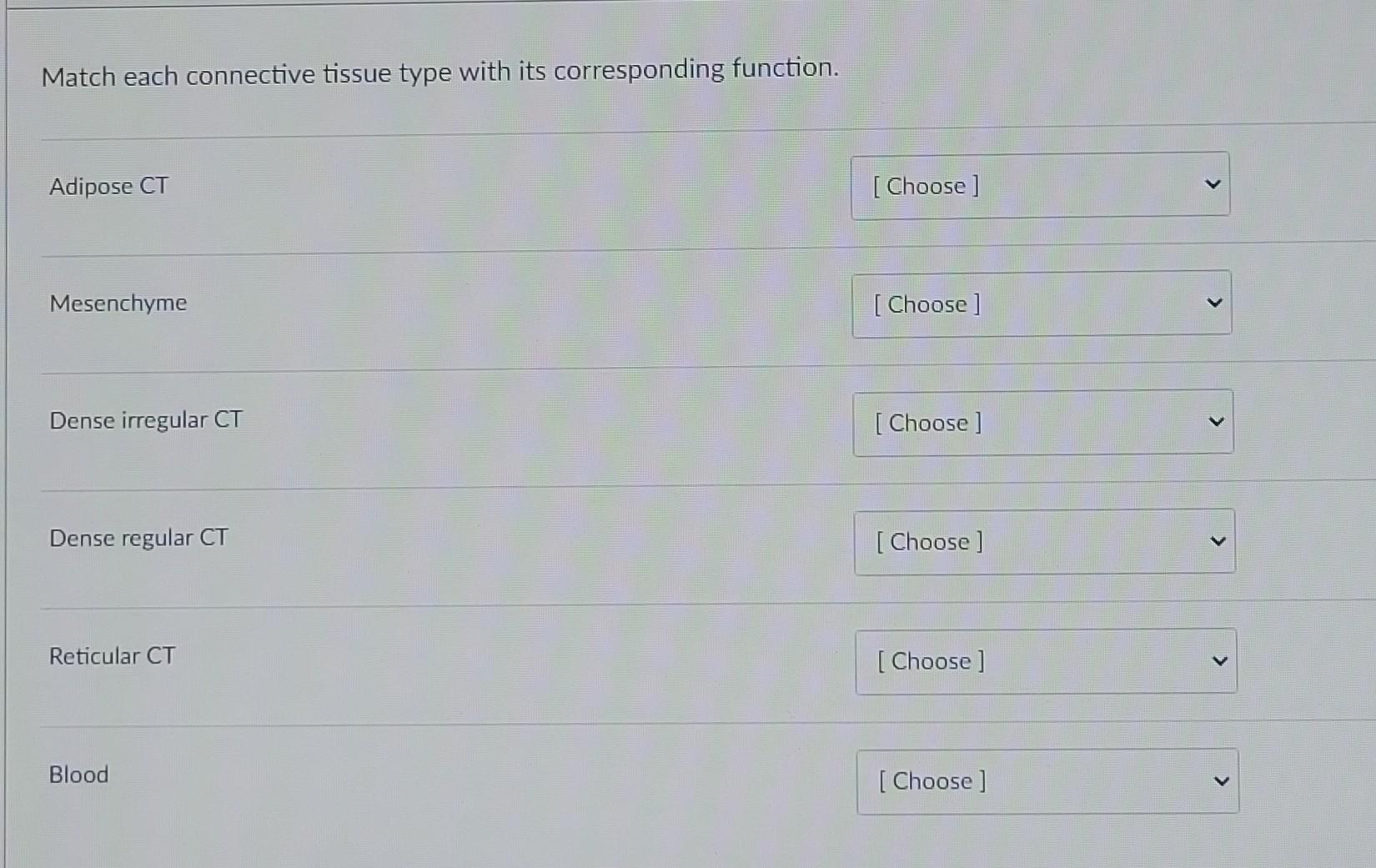 Solved Match each connective tissue type with its