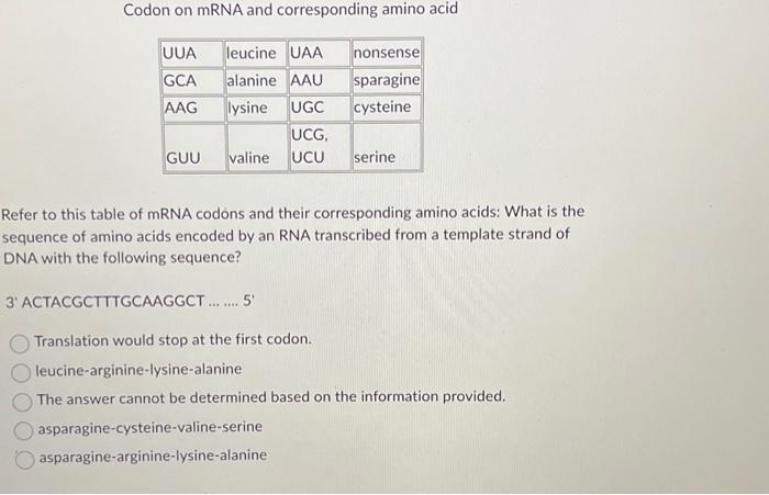Solved The amino acid sequence in a protein is specified | Chegg.com