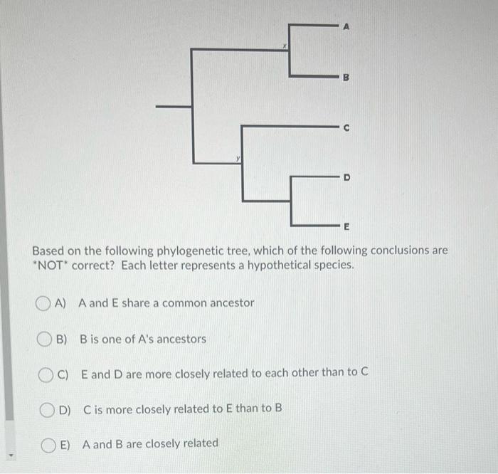 solved-a-ci-b-based-on-the-following-phylogenetic-tree-chegg