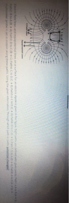 Solved Electric field lines and equipotential lines on a | Chegg.com