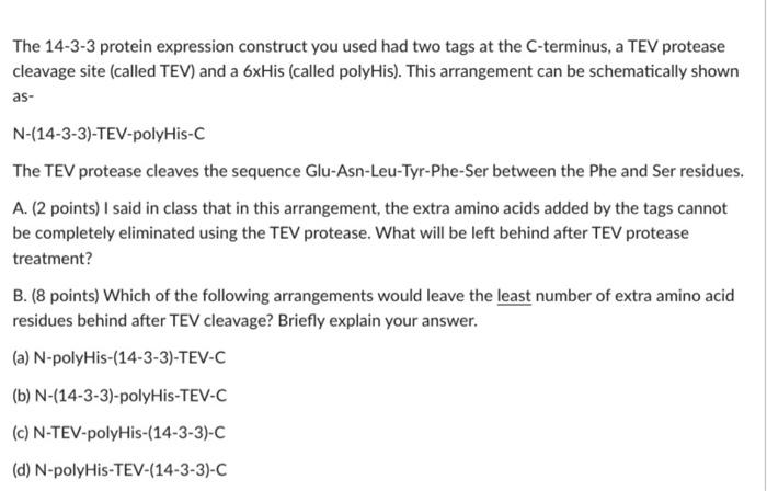 solved-the-14-3-3-protein-expression-construct-you-used-had-chegg