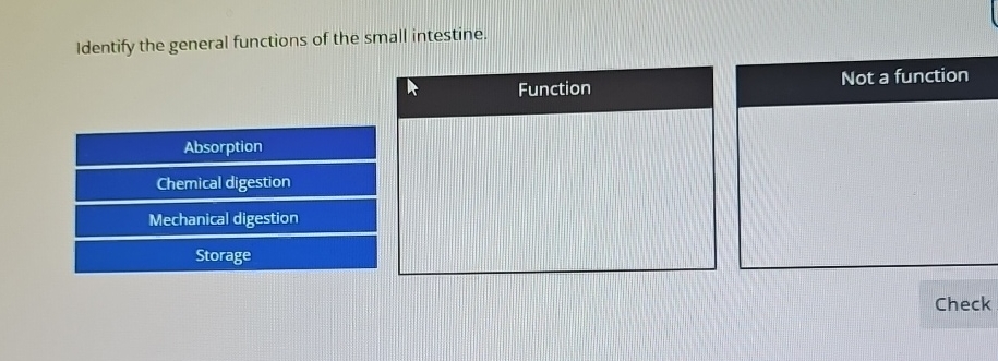 Solved Identify the general functions of the small | Chegg.com