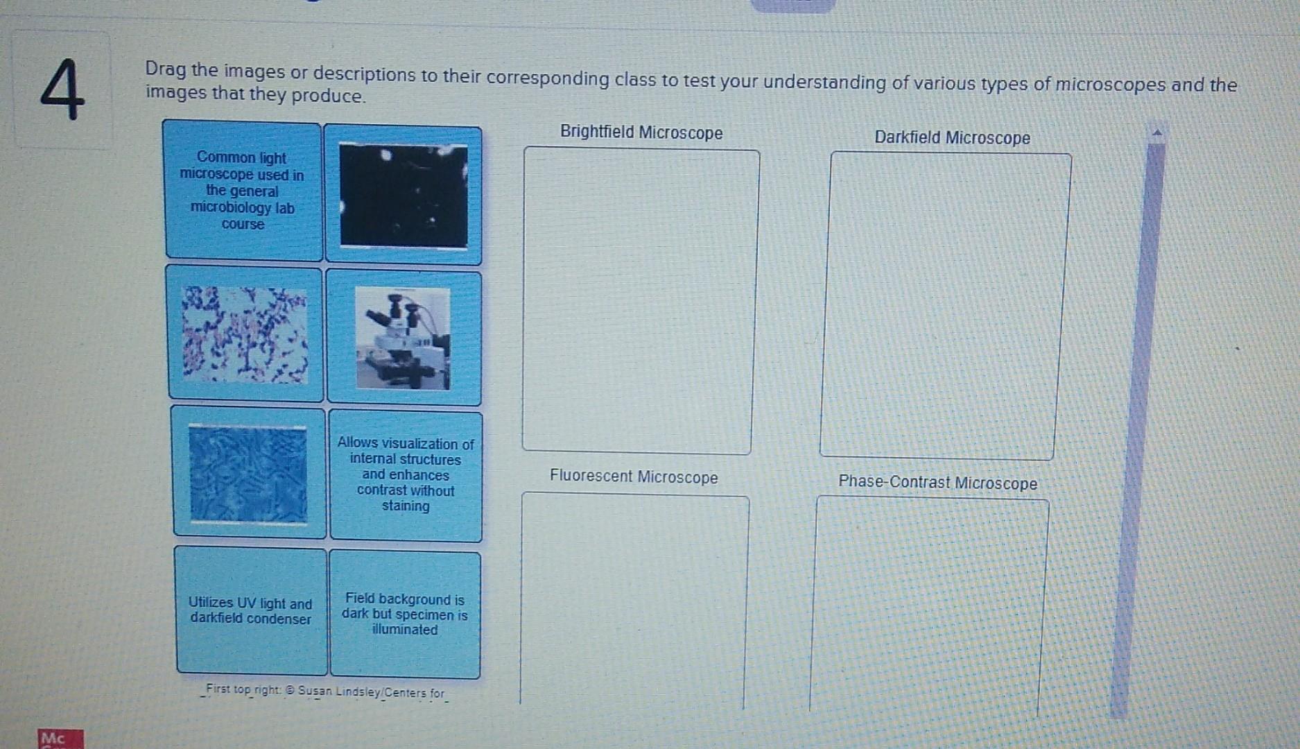 Solved 4 Drag the images or descriptions to their