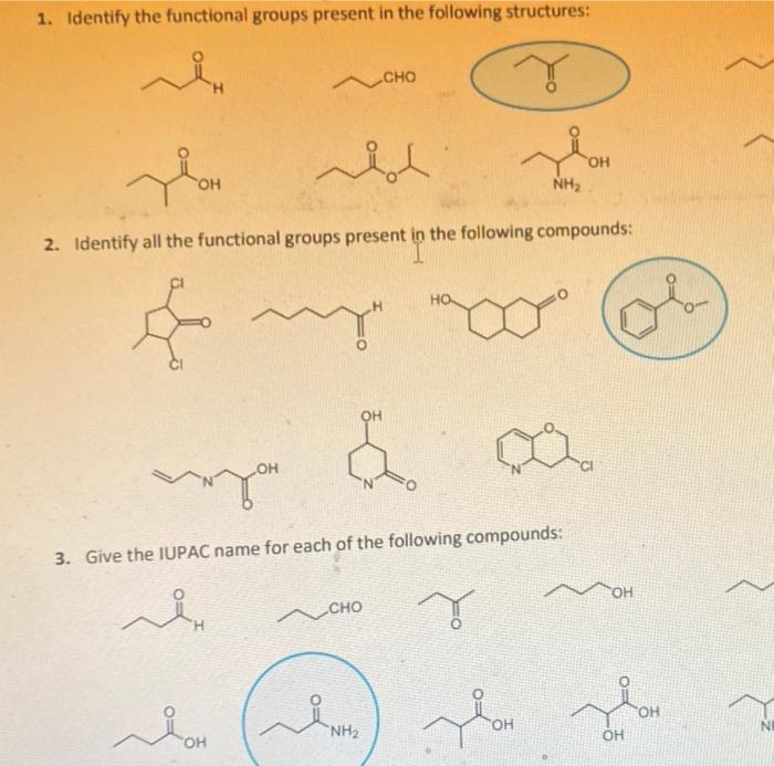 Solved 1. Identify the functional groups present in the | Chegg.com