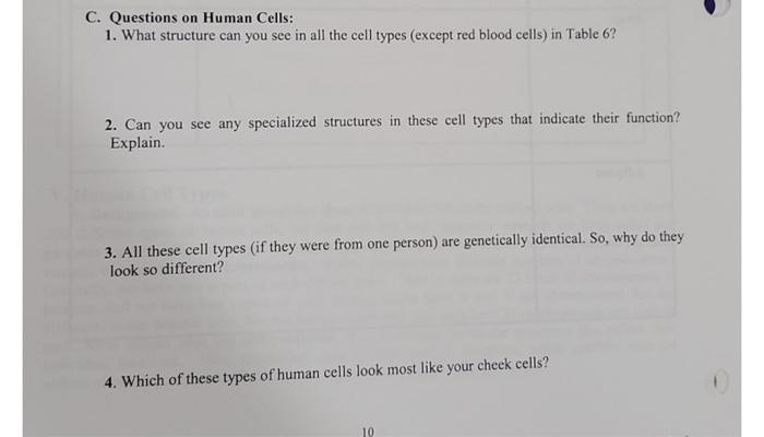 Solved C. Questions on Human Cells: 1. What structure can | Chegg.com