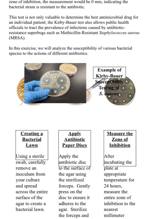 Solved Lab Module 11 - Evaluation of Antibiotics: The | Chegg.com