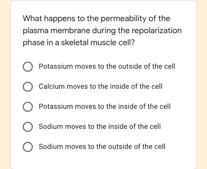 Solved What happens to the permeability of the plasma | Chegg.com