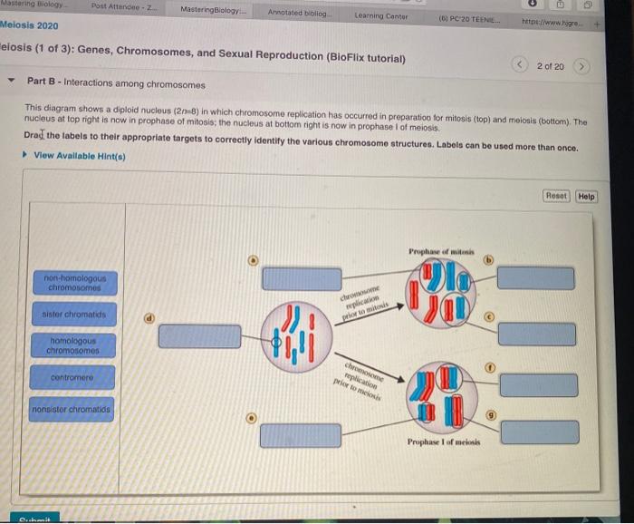 Solved Mastering Biology Dost Attendee Mastering Biology Chegg Com