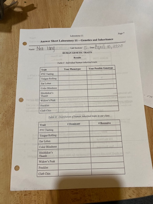 Solved Laboratory 11 Answer Sheet Laboratory 11 Genetics Chegg