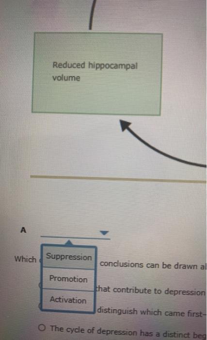 Reduced hippocampal volume A Which Suppression conclusions can be drawn al Promotion that contribute to depression Activation