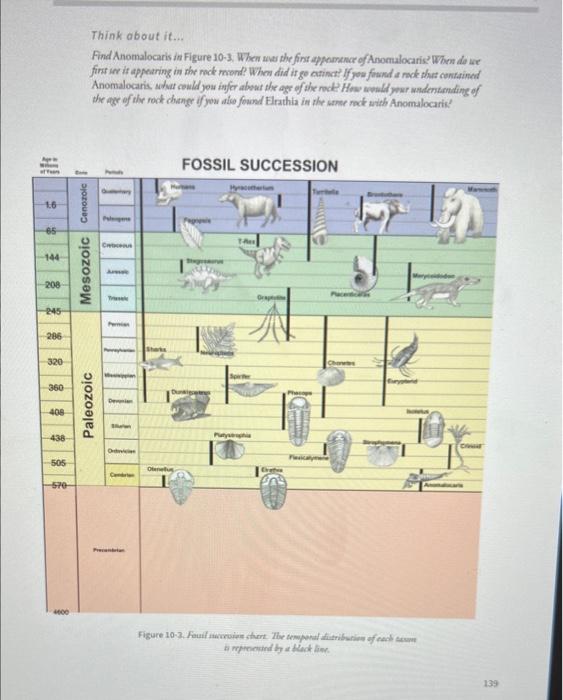 Solved EXERCISE 1 FOSSIL SUCCESSION (FIGURE 103) Now we