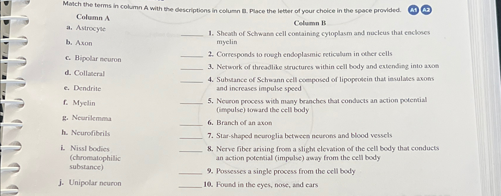 Solved Match the terms in column A with the descriptions in | Chegg.com