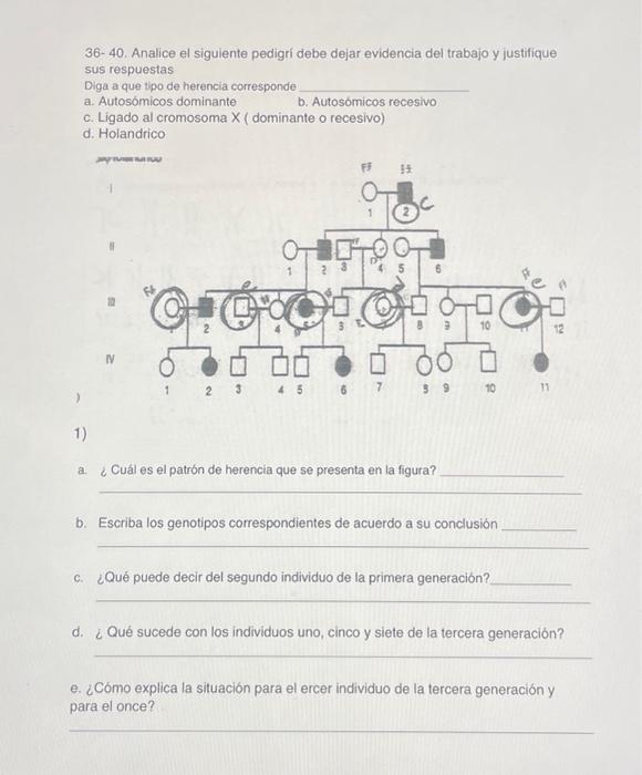 36-40. Analice el siguiente pedigri debe dejar evidencia del trabajo y justifique sus respuestas Diga a que tipo de herencia