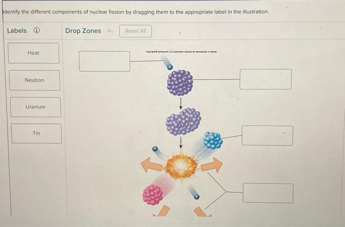 Solved dentify the different components of nuclear fission | Chegg.com