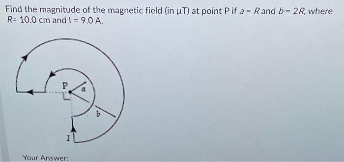 Solved Find the magnitude of the magnetic field (in μT) at | Chegg.com