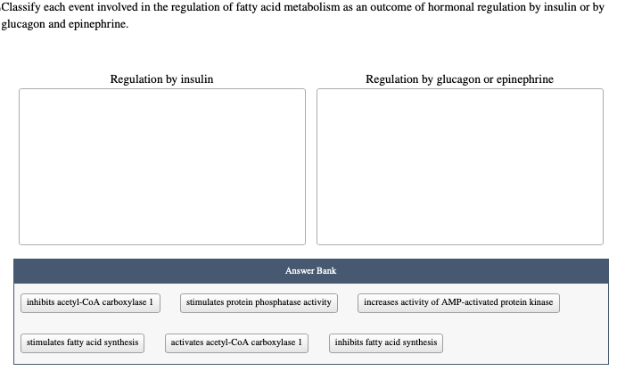 Solved Classify each event involved in the regulation of | Chegg.com