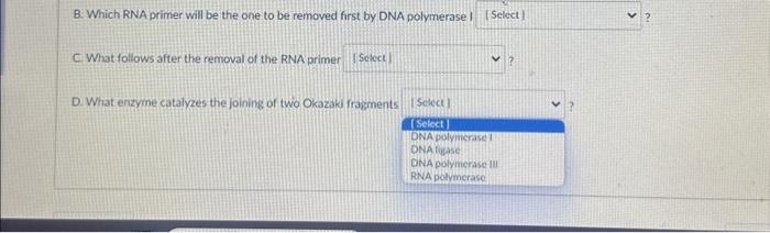 Solved In the following diagram, the top strand is the DNA | Chegg.com