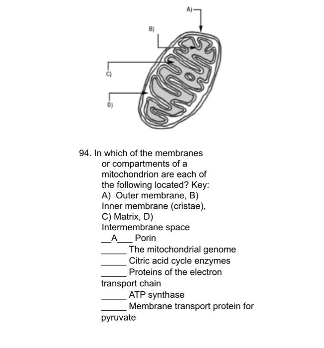 Solved 93. In Step 1 Of The Krebs Cycle Is The Condensation | Chegg.com