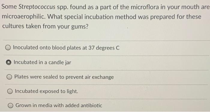 Solved You digested your extracted and cleaned E. coli DNA | Chegg.com