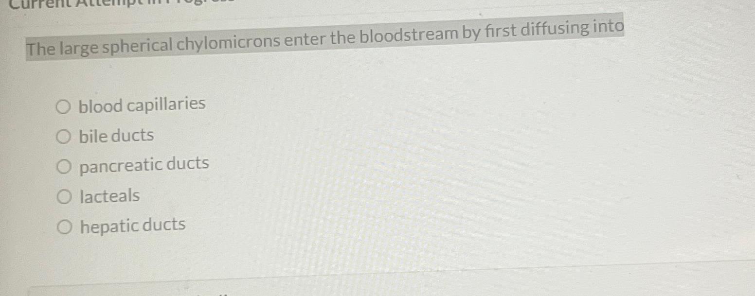 Solved The large spherical chylomicrons enter the | Chegg.com