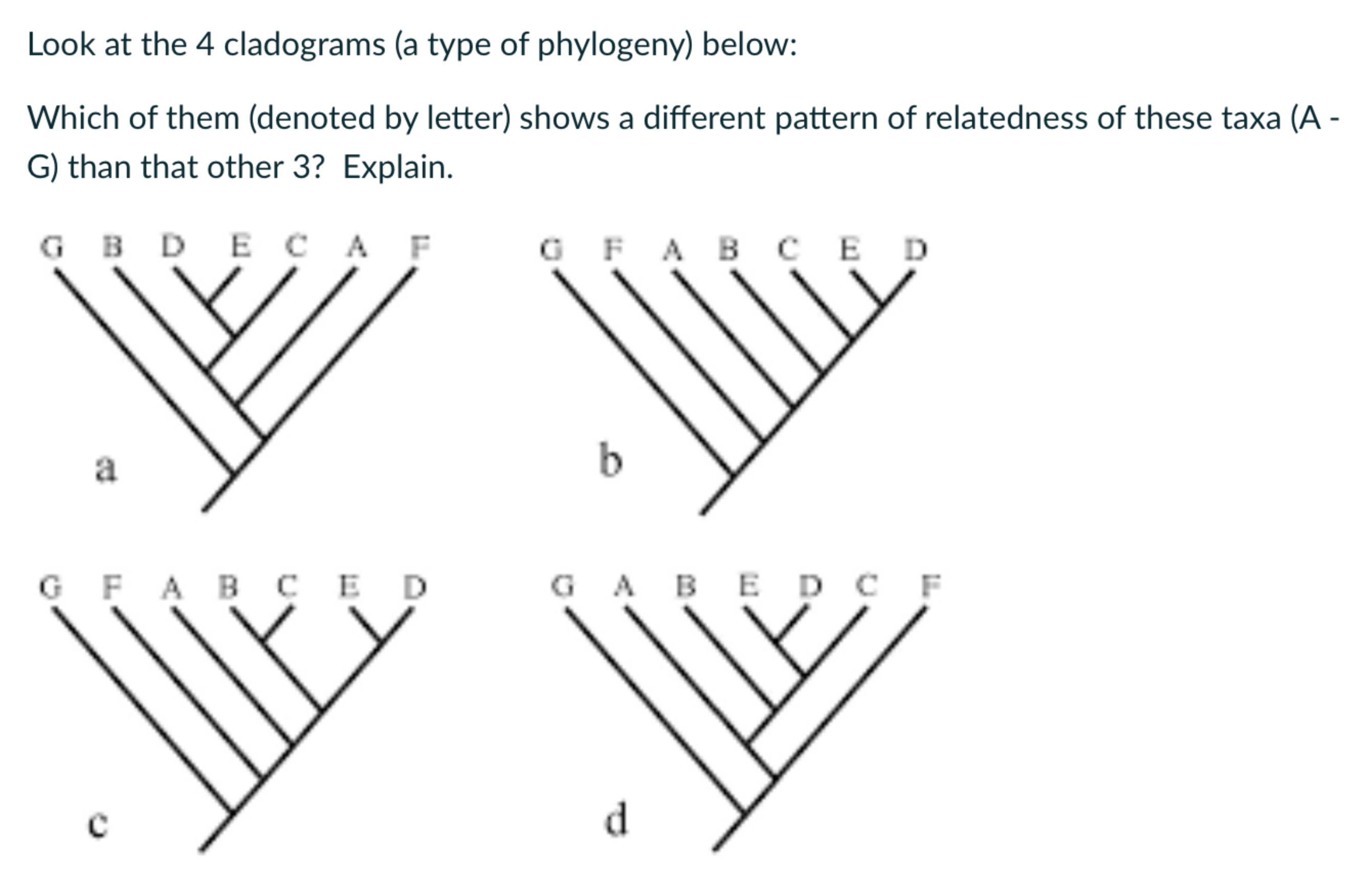 Solved Look At The 4 ﻿cladograms (a Type Of Phylogeny) | Chegg.com