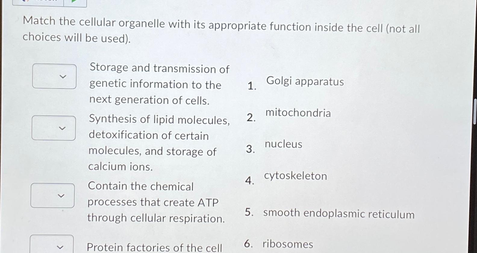 Solved Match the cellular organelle with its appropriate | Chegg.com