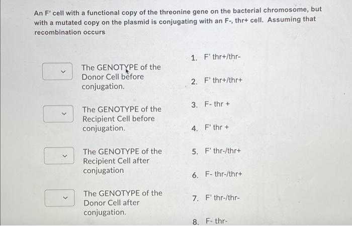 Solved Which cells (F+, F' and/or Hfr), when conjugated with | Chegg.com